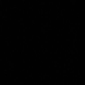 Meet your Posher, Liliana